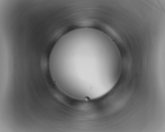 X0000114440549200910231320