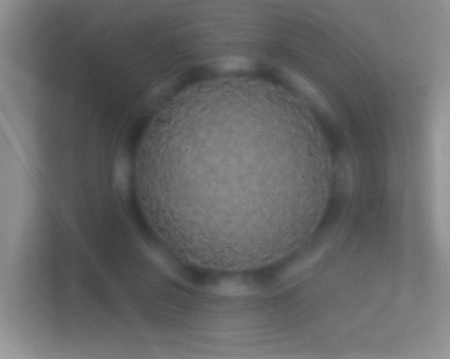 X0000114440550200910231320