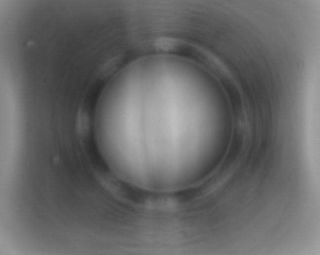 X0000114440551200910231320