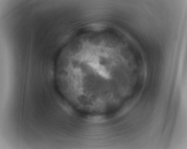 X0000114440553200910231320