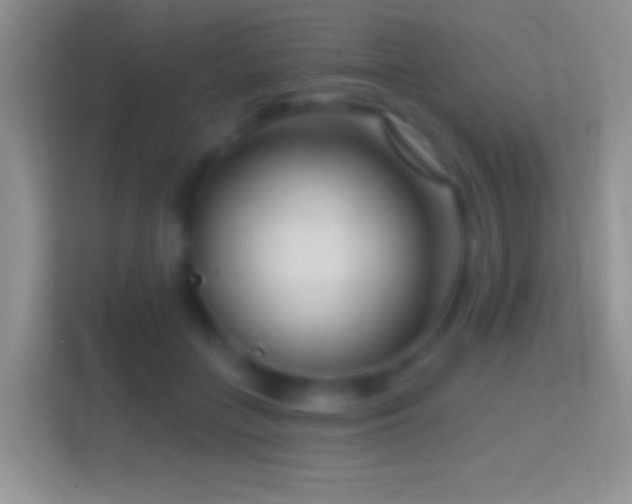 X0000114440555200910231320