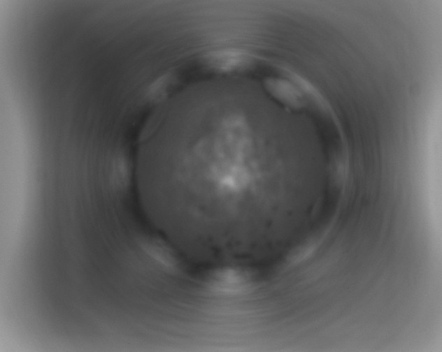 X0000114440558200910231320