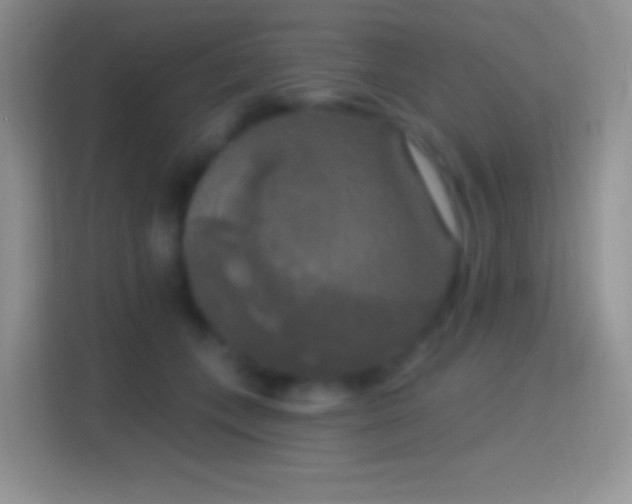 X0000114440559200910231320