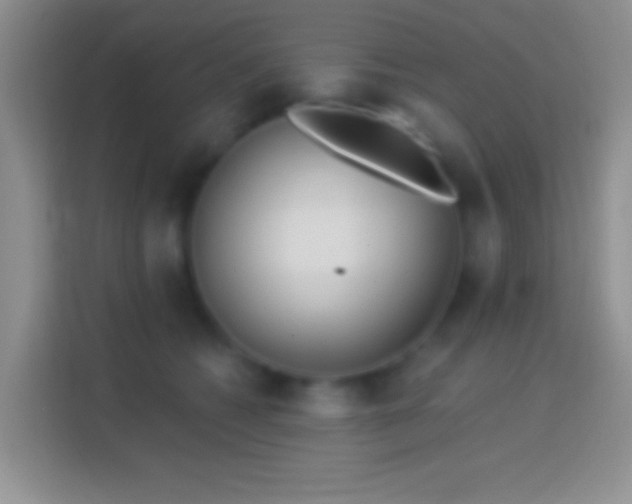 X0000114440562200910231320