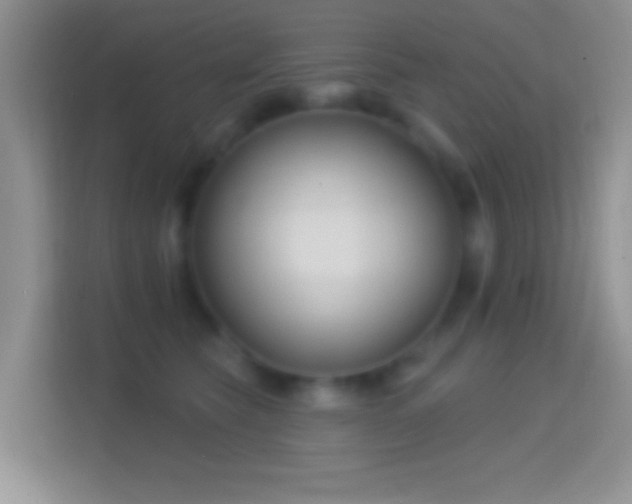 X0000114440565200910231320