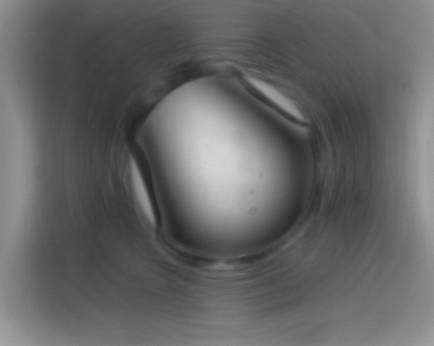 X0000114440566200910231320