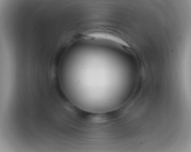 X0000114440567200910231320