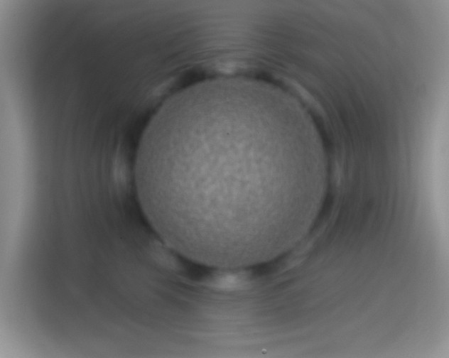 X0000114440569200910231320