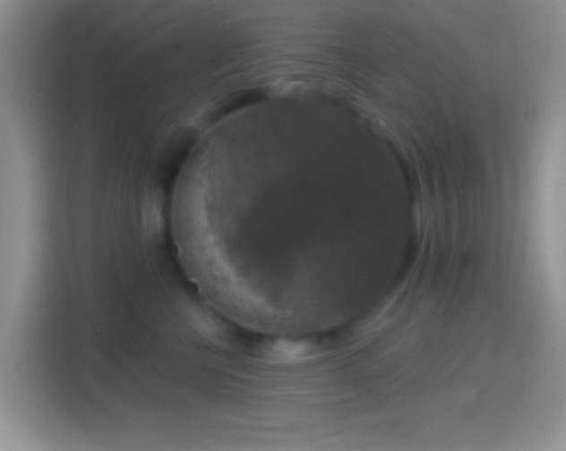 X0000114440570200910231320