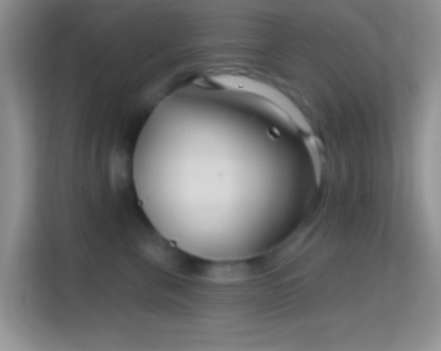 X0000114440571200910231320