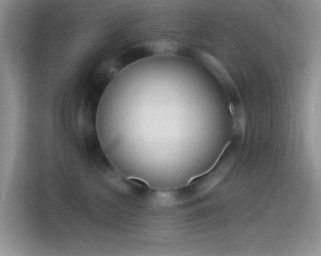 X0000114440573200910231320