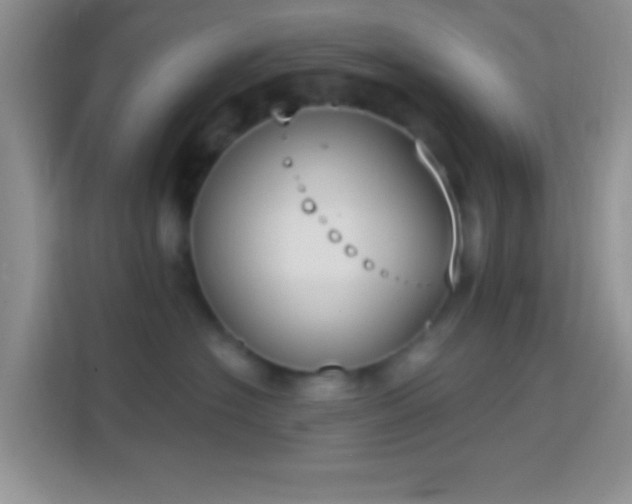 X0000114440574200910231320