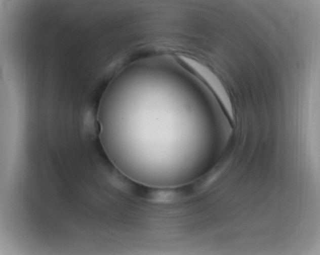 X0000114440575200910231320