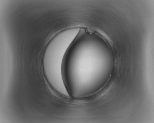 X0000114440577200910231320