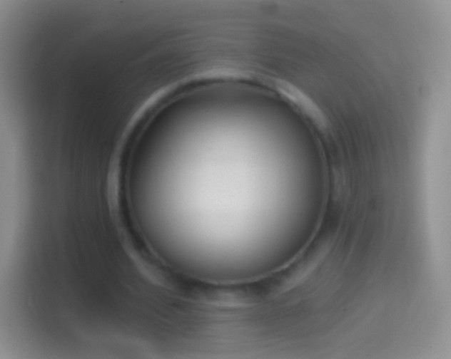 X0000114440580200910231320