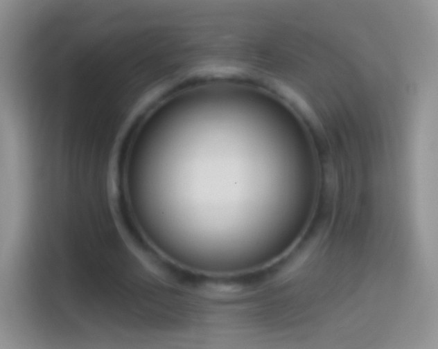 X0000114440582200910231320