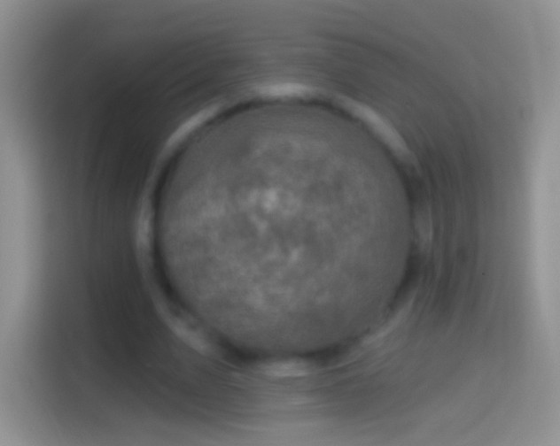 X0000114440583200910231320