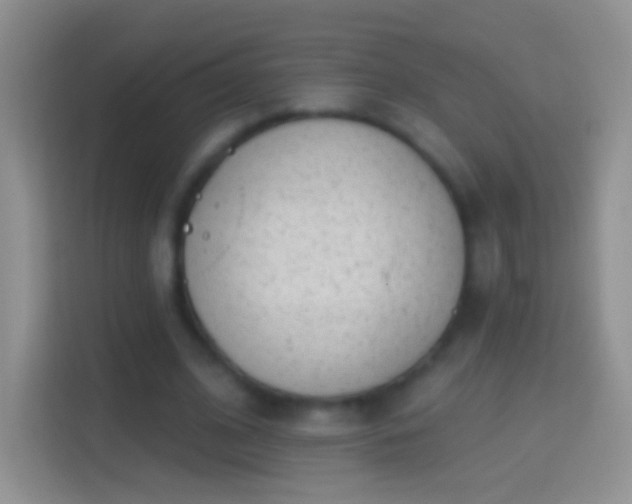 X0000114440584200910231320