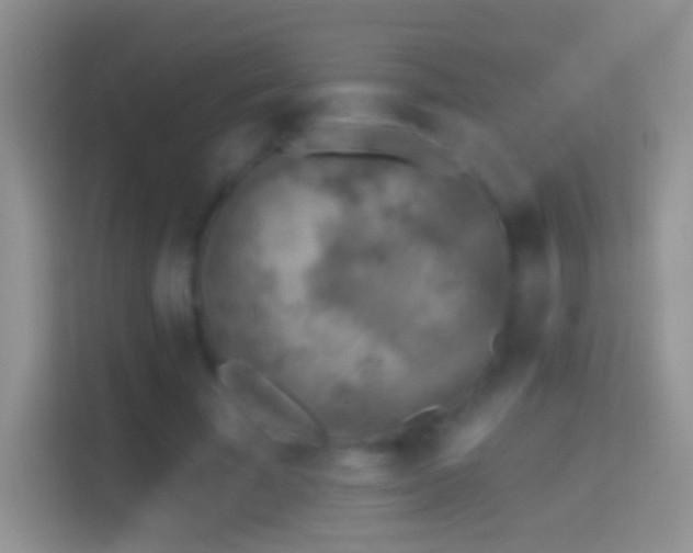 X0000114440585200910231320