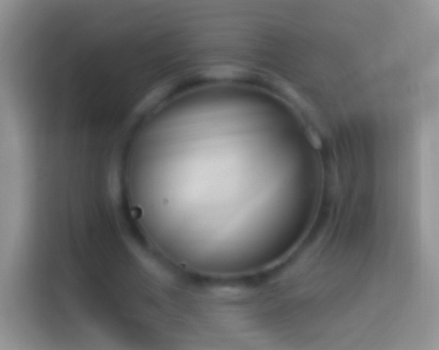 X0000114440586200910231320