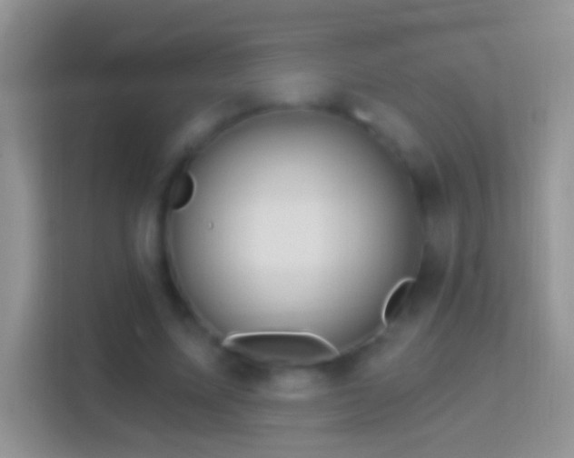 X0000114440587200910231320