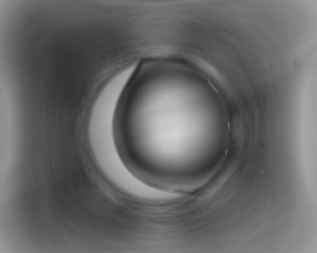 X0000114440589200910231320