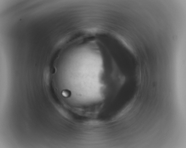 X0000114440590200910231320