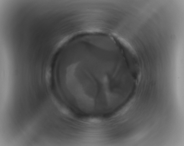 X0000114440592200910231320