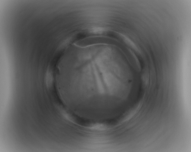 X0000114440593200910231320