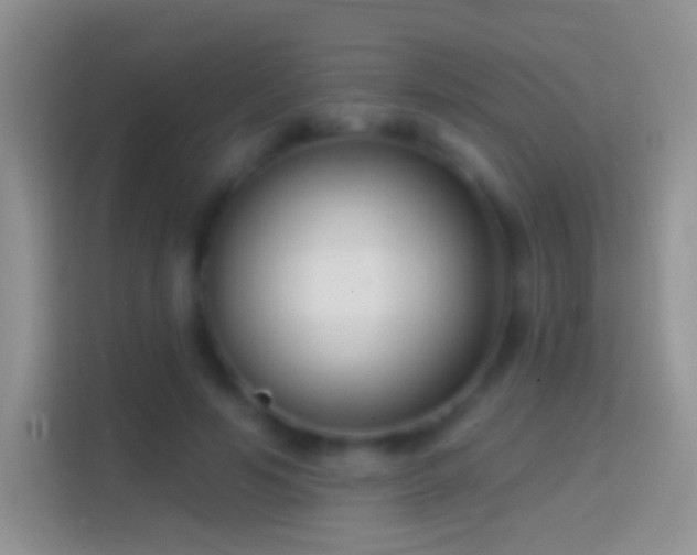 X0000114440594200910231320