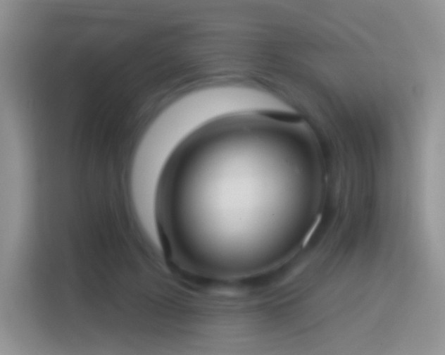 X0000114440595200910231320