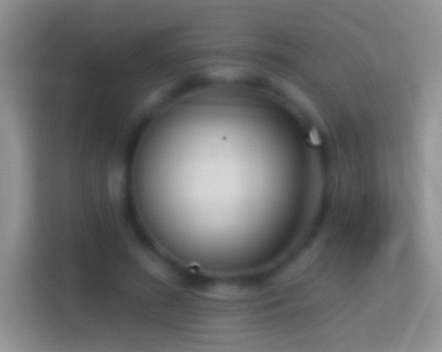 X0000114440596200910231320