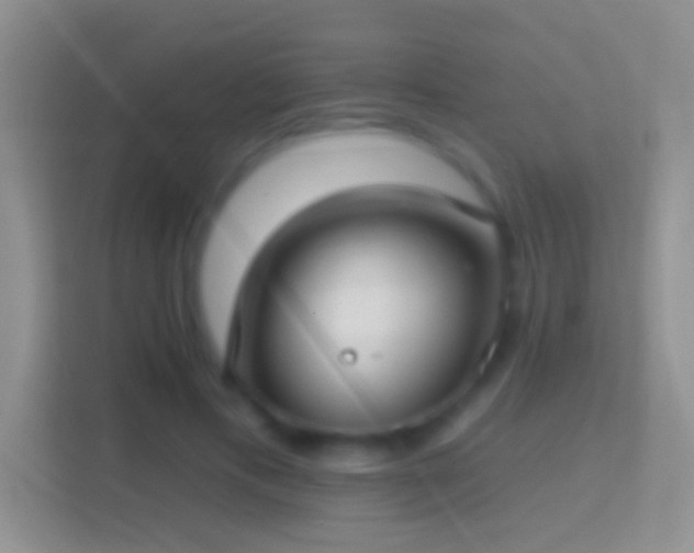 X0000114440597200910231320