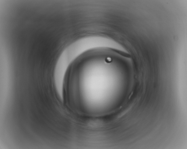 X0000114440599200910231320