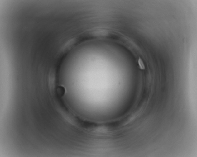 X0000114440600200910231320