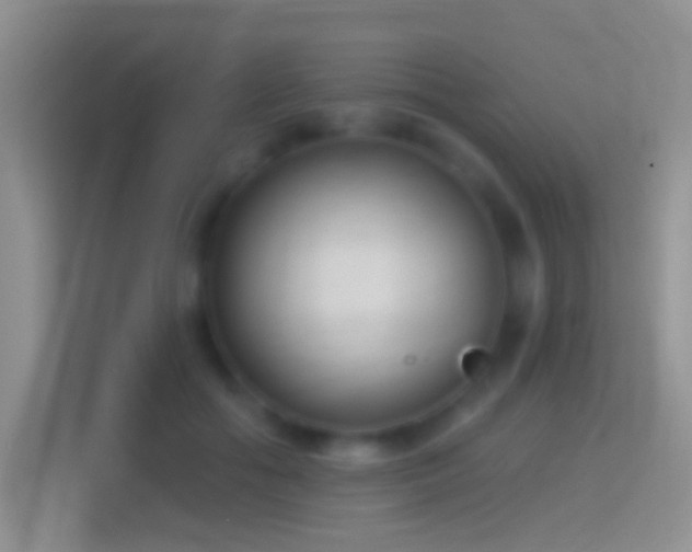 X0000114440602200910231320