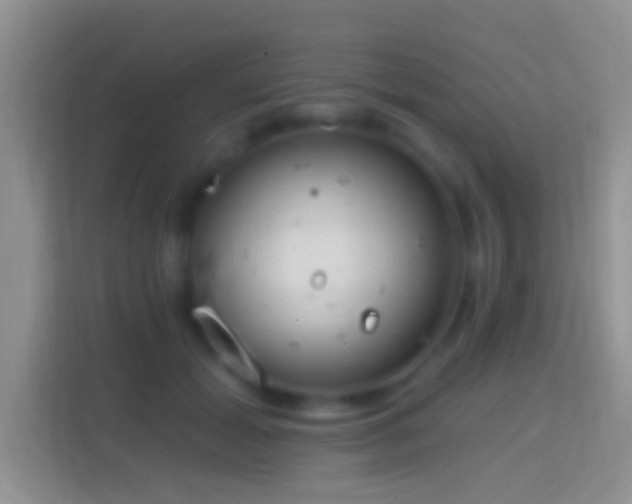 X0000114440605200910231319