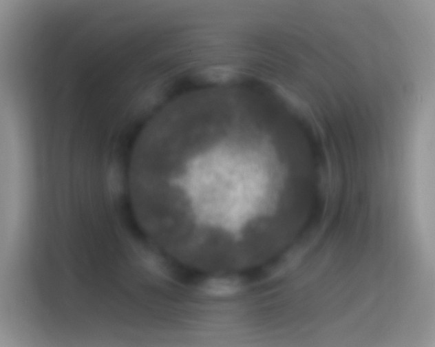 X0000114440606200910231319