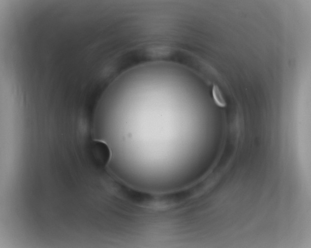 X0000114440608200910231319