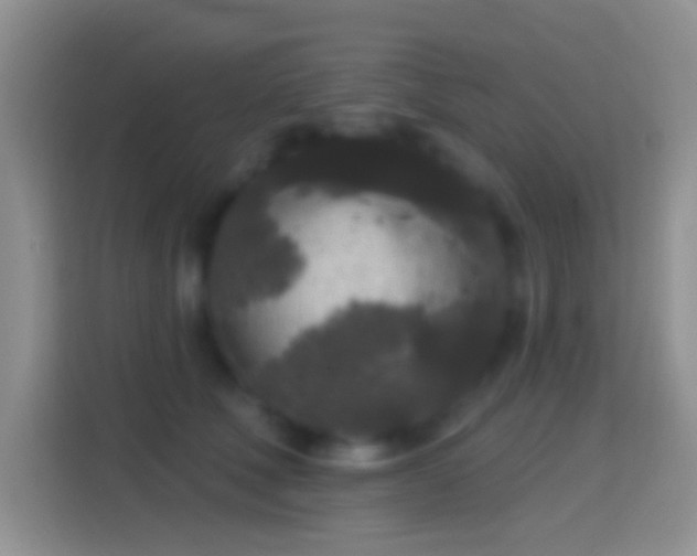 X0000114440610200910231319