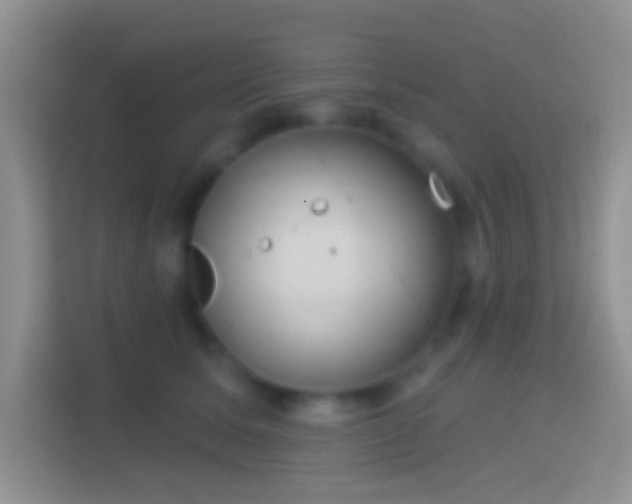 X0000114440611200910231319