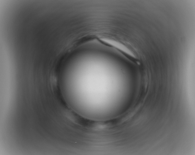 X0000114440613200910231319