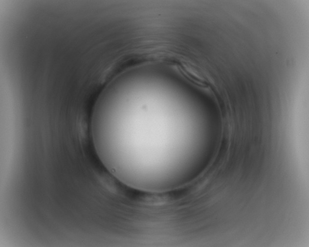 X0000114440615200910231319