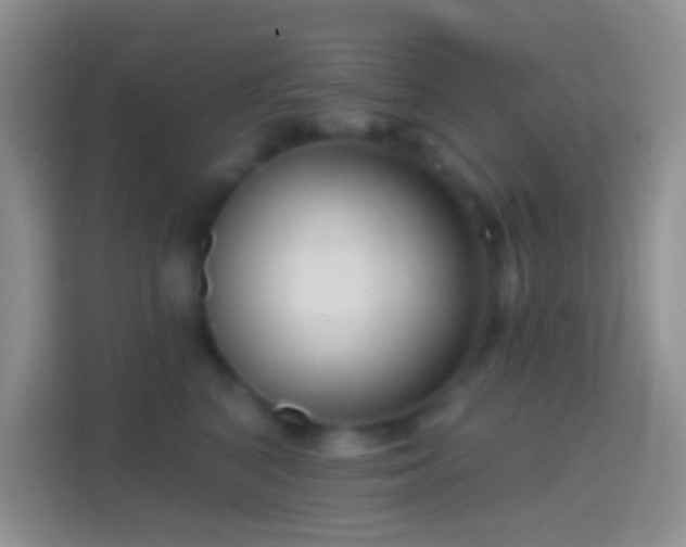 X0000114440616200910231319