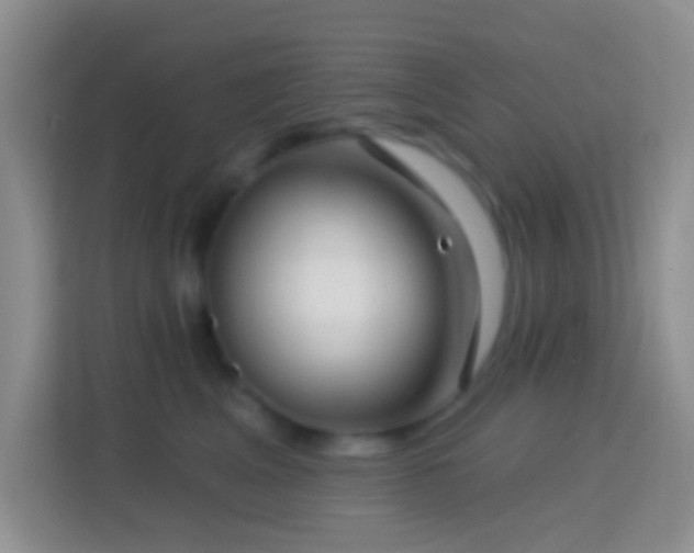 X0000114440617200910231319