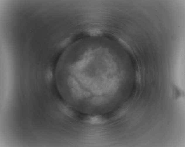 X0000114440618200910231319