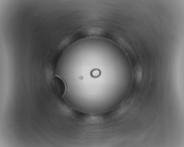 X0000114440619200910231319