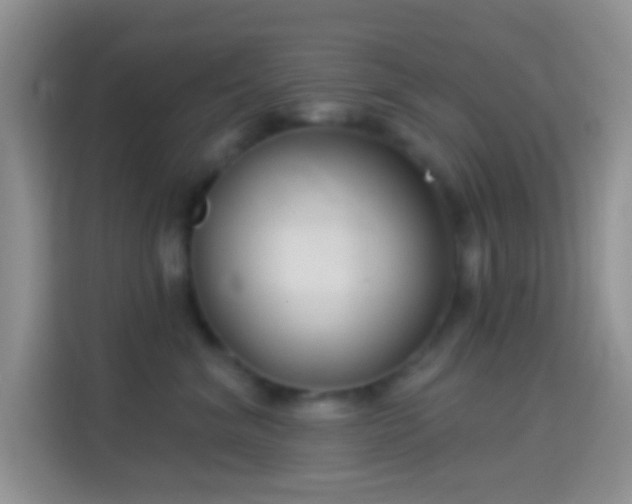 X0000114440620200910231319