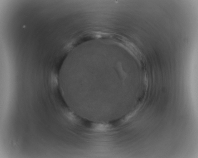 X0000114440621200910231319