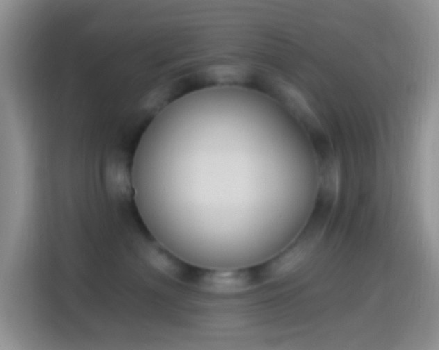 X0000114440622200910231319